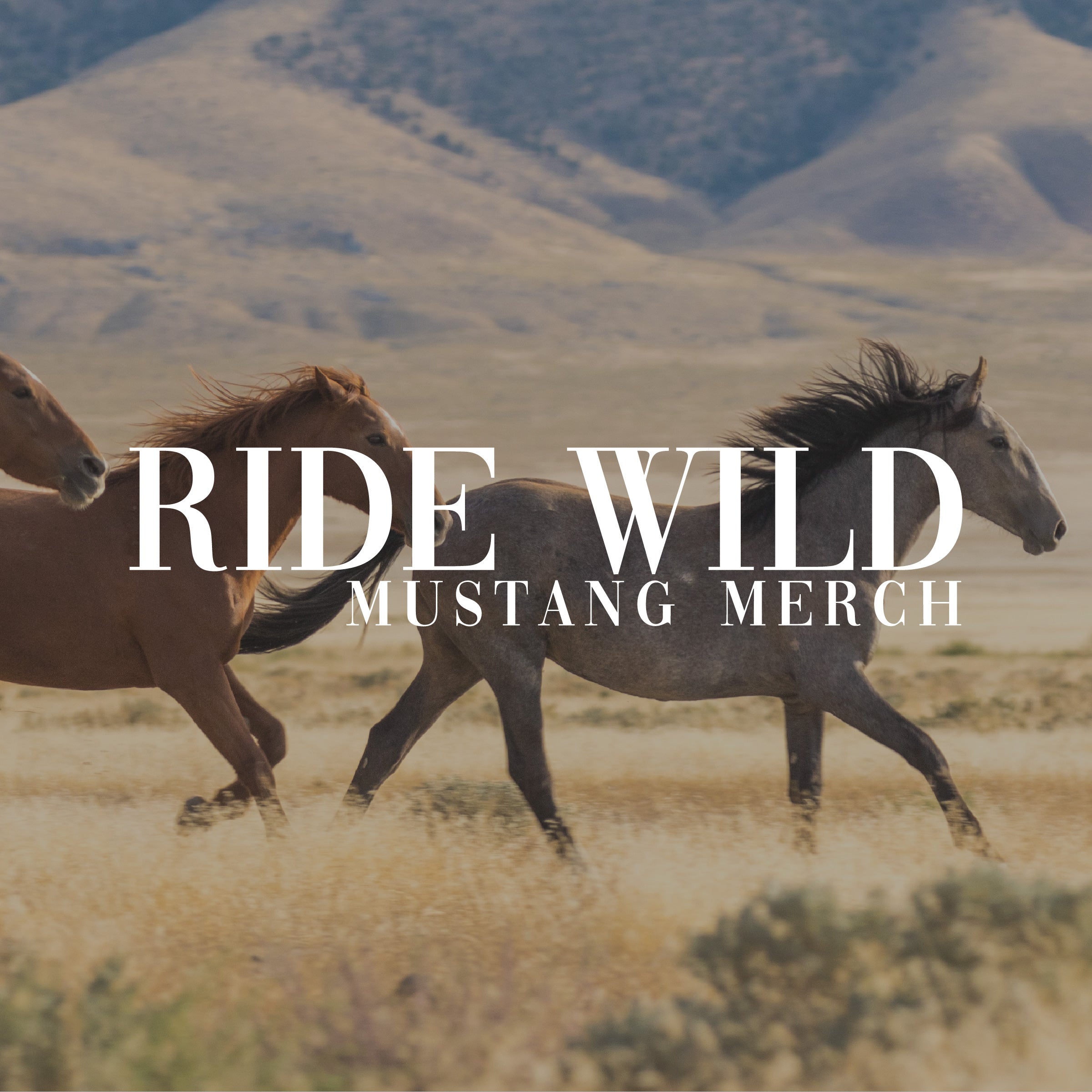 Ride Wild | Mustang Merch