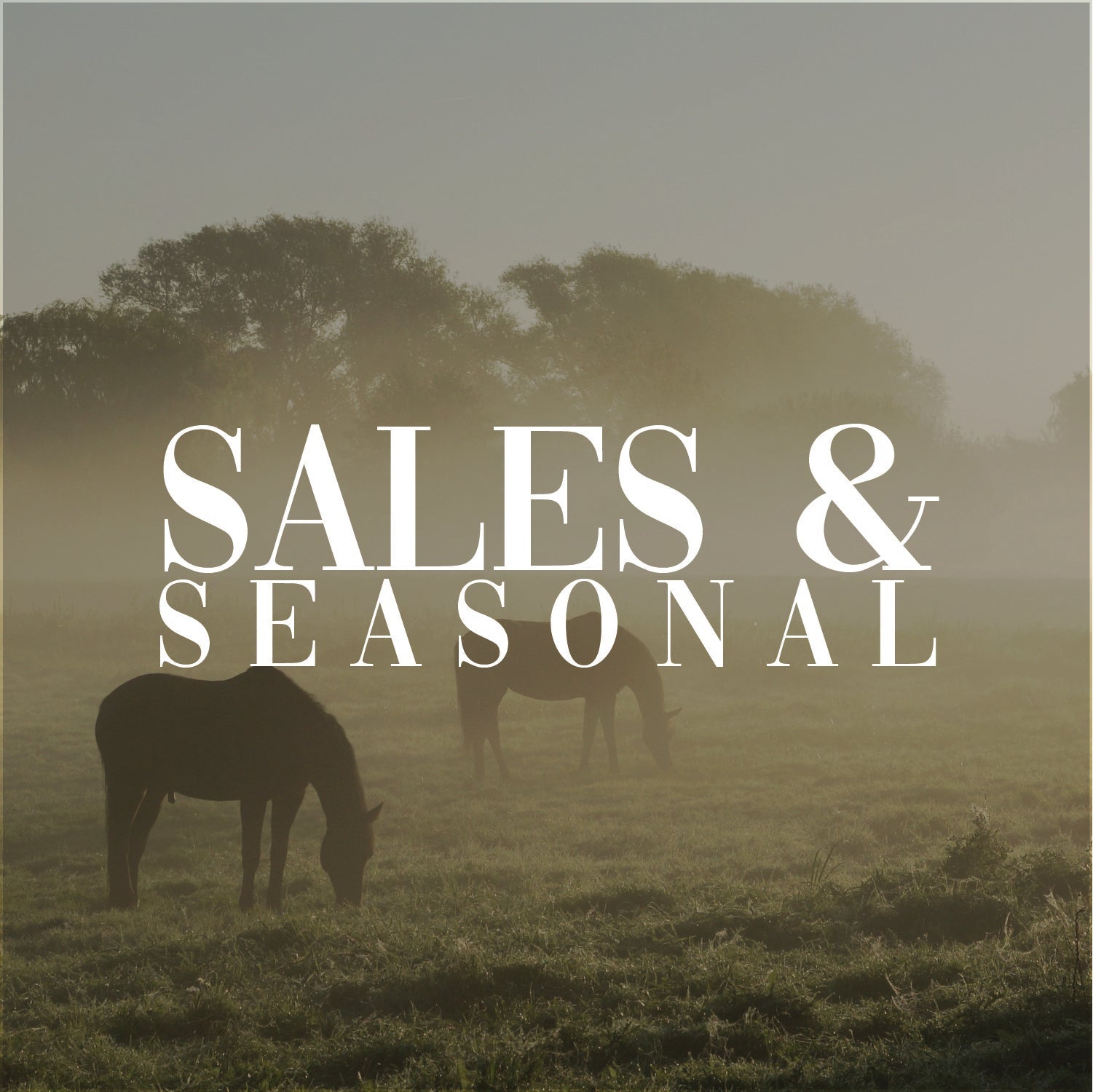 Sales & Seasonal