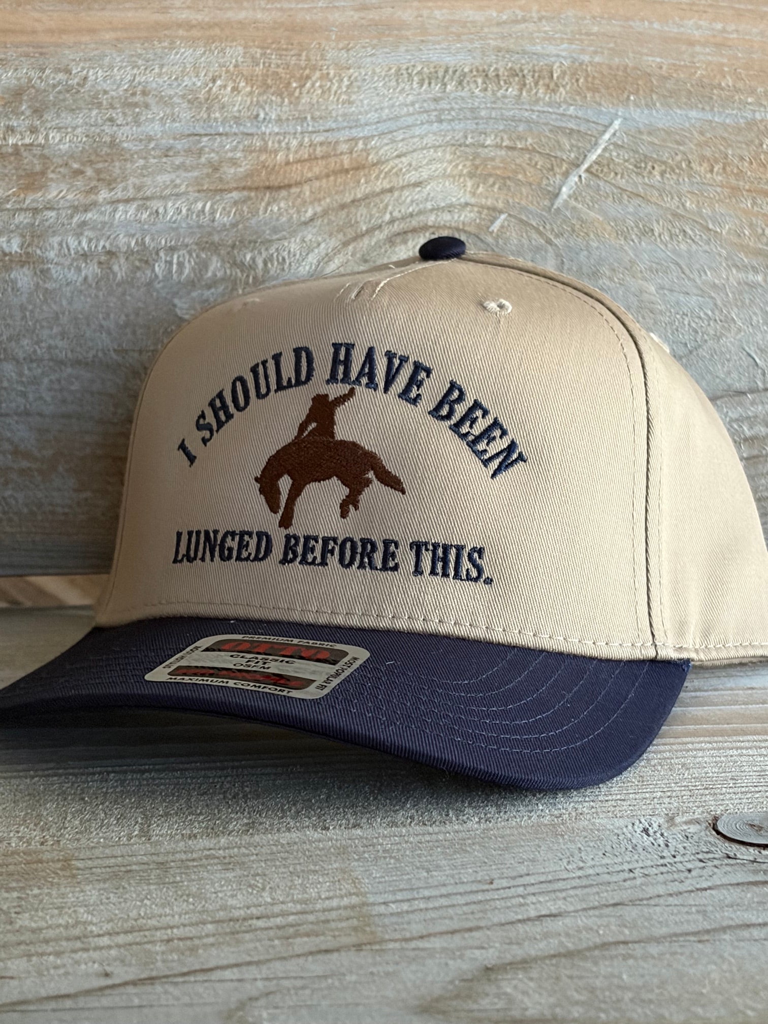 I Should Have Been Lunged | Embroidered Canvas Hat