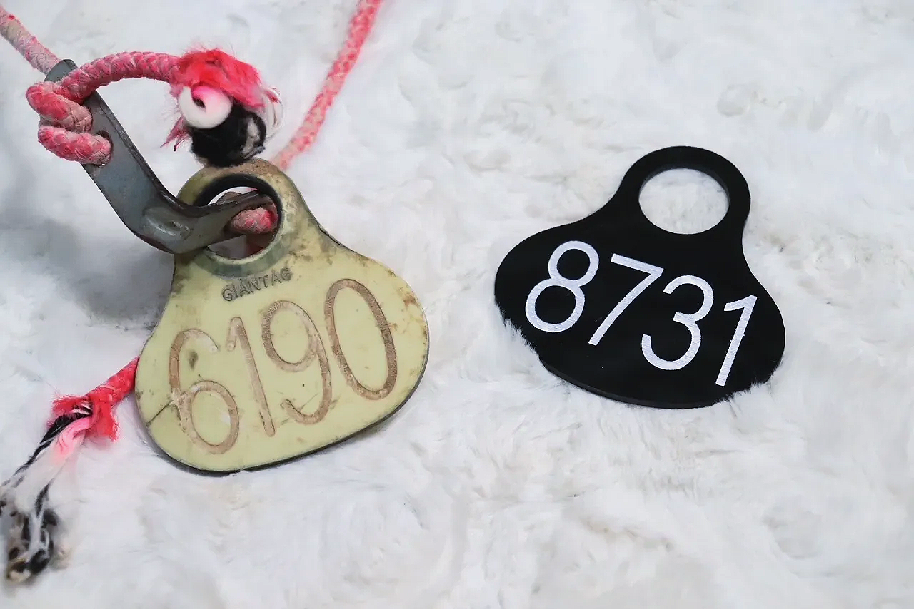 Custom Replica BLM Mustang Neck Tags | Wild Horse Tag